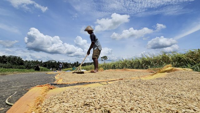NTP Cetak Rekor Tahun 2025, Tembus 125,35