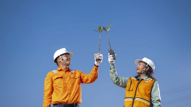 Pulihkan Ekosistem Pascatambang, PT Vale Indonesia Dorong Keberlanjutan di Tanah Sorowako