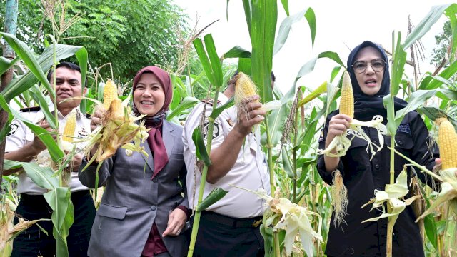 Panen Raya Lapas Makassar, Aliyah Mustika Tekankan Pembinaan Kemandirian