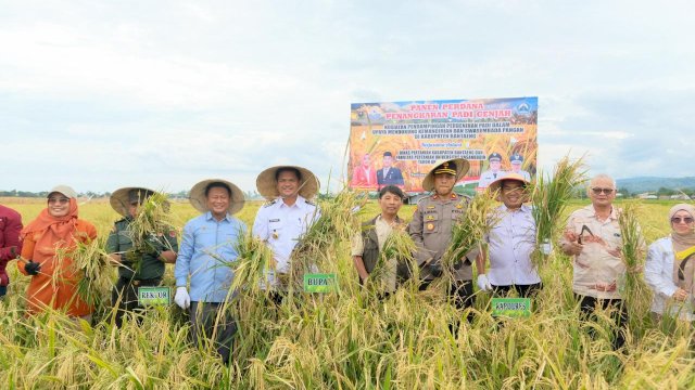 Bupati Bantaeng Dorong Kemandirian Benih Melalui Panen Perdana Padi Genjah dan Jagung