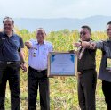 Sinergi Korporasi dan Aparat, Panen Jagung di Maros Tembus 6 Ton per Hektare