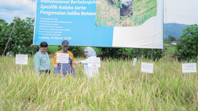 Dukung Asta Cita Presiden dan SDGs Ketahanan Pangan, PT Vale Panen Bersama Demplot Padi Berkelanjutan di Kolaka