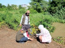 Perkuat Mitigasi Banjir, PLN dan Warga Katimbang Tanam 400 Pohon