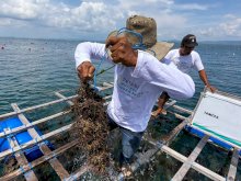 LAZ Hadji Kalla Dorong Kemandirian Petani Mutiara Buton Tengah, Raup Omzet Puluhan Juta