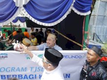 Pelindo Regional 4 Salurkan 35 Ekor Sapi Kurban di Iduladha 1447 H