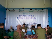 PT Pelindo Jasa Maritim Salurkan 30 Hewan Kurban di 13 Provinsi