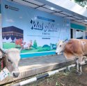 PLN UIP Sulawesi Salurkan 13 Hewan Kurban Idul Adha 1447 H