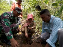 Gandeng Pemda dan Warga, PT Vale Tanam Pohon untuk Jaga Sumber Air Bersih di Luwu Timur