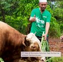 Jelang Idul Adha 1447 H, PT Vale Salurkan 6 Ekor Sapi Kurban untuk Warga Luwu Timur