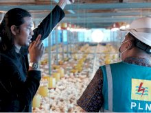 PLN UID Sulselrabar Dorong Produktivitas Pertanian dan Peternakan Melalui Electrifying Agriculture