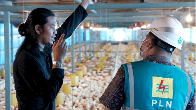 Ilustrasi petugas PLN meninjau pemanfaatan listrik pada peternakan ayam petelur modern di Kabupaten Sidenreng Rappang sebagai bagian dari Program Electrifying Agriculture yang mendukung modernisasi sektor agrikultur.