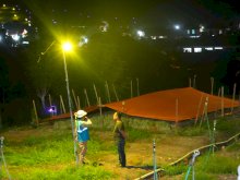 Program Electrifying Agriculture PLN Hemat Biaya Petani Bawang Enrekang hingga 60 Persen