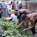 Wali Kota Appi Apresiasi Inovasi Urban Farming di Tammua, Terintegrasi dengan Sentra Tukar Sampah