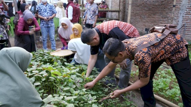Wali Kota Makassar, Munafri Arifuddin, bersama jajaran perangkat wilayah saat memanen sayur bayam dalam kunjungan kerja ke lokasi Urban Farming di Kelurahan Tammua, Kecamatan Tallo, Makassar, Jumat (19/6/2026).