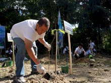 Peringati Hari Lingkungan Hidup, PJM Tanam 2.500 Pohon Berkayu Kars di Maros