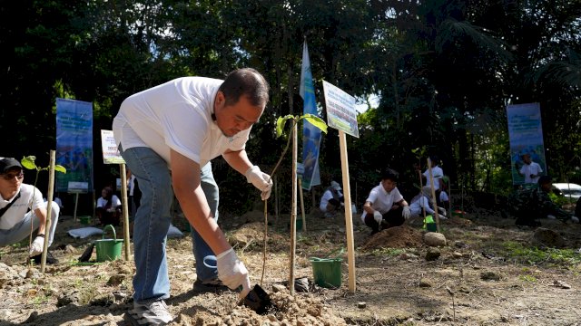 Peringati Hari Lingkungan Hidup, PJM Tanam 2.500 Pohon Berkayu Kars di Maros