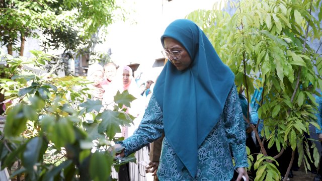 Ketua TP PKK Kota Makassar, Melinda Aksa, meninjau kondisi dan progres kebun Aku Hatinya PKK di Kelurahan Pisang Utara, Kecamatan Ujung Pandang, Senin (4/5/2026).