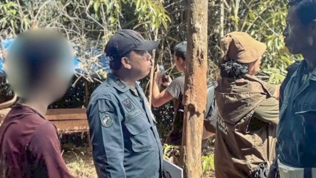 Dua Terduga Perambah Hutan Lindung di Luwu Timur Diamankan, Penyidik Kejar Aktor Intelektual