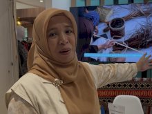 Menenun Asa di Tepian Matano: Kisah Anyaman Teduhu Melawan Kepunahan Tradisi