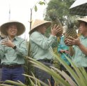 Perkuat Generasi Penggerak Keberlanjutan di Luwu Timur, PT Vale Luncurkan Kelas Konservasi