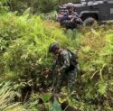 Dua Anggota OPM Tewas dalam Kontak Tembak dengan TNI saat Evakuasi Korban Penembakan di Yahukimo