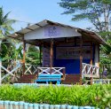 PLN UIP Sulawesi Bangun Greenhouse dan Rumah Kompos untuk KWT Wulasi Mandiri di Luwu Timur 