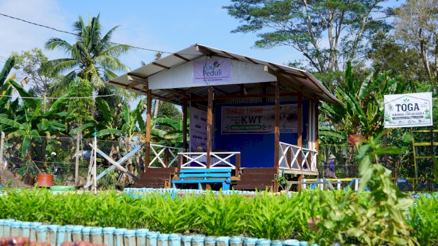PLN UIP Sulawesi Bangun Greenhouse dan Rumah Kompos untuk KWT Wulasi Mandiri di Luwu Timur 