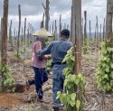 Laju Perambahan Tanamalia Meningkat, Gakkum Sebut Luasan Hutan yang Dibuka Mendekati 5.000 Hektare