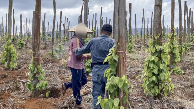 Laju Perambahan Tanamalia Meningkat, Gakkum Sebut Luasan Hutan yang Dibuka Mendekati 5.000 Hektare