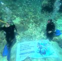 PLN UIP Sulawesi Tanam 81 Fragmen Karang di Pulau Samalona