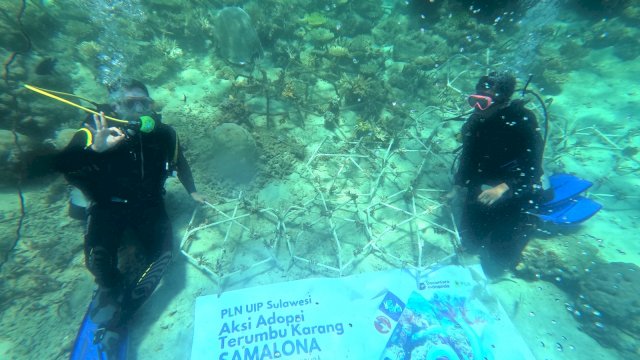 PLN UIP Sulawesi Tanam 81 Fragmen Karang di Pulau Samalona