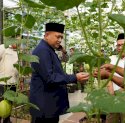 Wali Kota Makassar Panen Melon di Bukit Baruga, Apresiasi Urban Farming Terintegrasi Masjid Bin Baz 