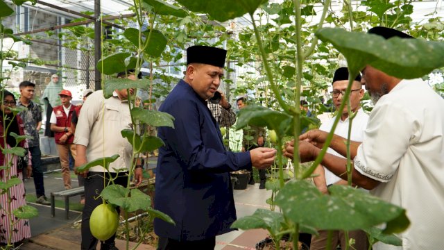 Wali Kota Makassar Panen Melon di Bukit Baruga, Apresiasi Urban Farming Terintegrasi Masjid Bin Baz 