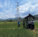 PLN UIP Sulawesi Gandeng BPN Tinjau Lokasi SUTET 275 kV Palopo-Bakaru Demi Perkuat Kelistrikan Sulawesi