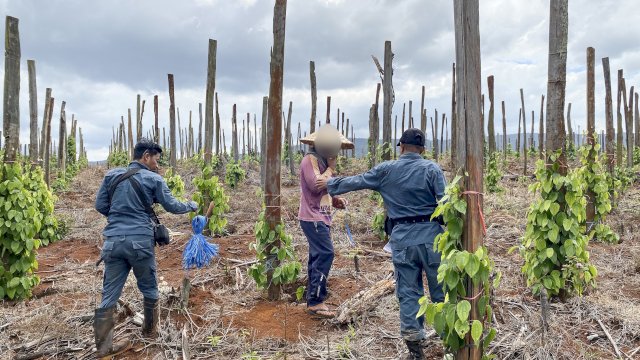 Bukaan Lahan di Tanamalia Melonjak 218 Persen, Satgas Karhutla Sulsel Perketat Patroli
