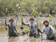 Kalla Toyota Tanam 43.000 Pohon Mangrove di Pangkep untuk Cegah Abrasi