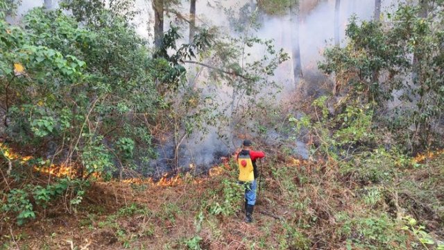 arhutla Landa Tana Toraja sejak Agustus, 330 Hektare Lahan Terdampak
