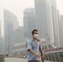 Singapura Kaji Penguatan Regulasi Karhutla, 20 Perusahaan Masuk Radar Penyelidikan