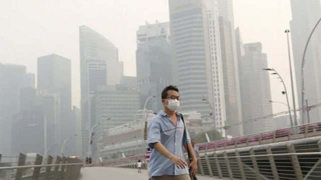 Singapura Kaji Penguatan Regulasi Karhutla, 20 Perusahaan Masuk Radar Penyelidikan