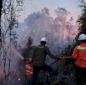 Gakkum Tegaskan Pembukaan Kawasan Hutan Tanpa Izin di Morowali Melanggar Hukum