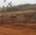 Warga Loeha Raya Desak Gakkum Usut Dugaan Pembakaran Hutan dan Perambahan Kawasan