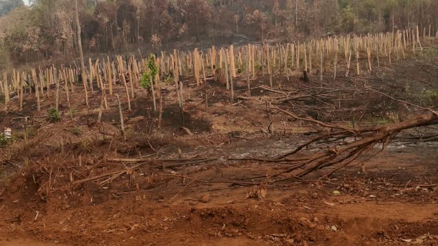 Warga Loeha Raya Desak Gakkum Usut Dugaan Pembakaran Hutan dan Perambahan Kawasan