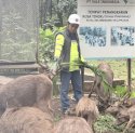 Dari Persemaian, PT Vale Menumbuhkan Masa Depan Kawasan Pertambangan