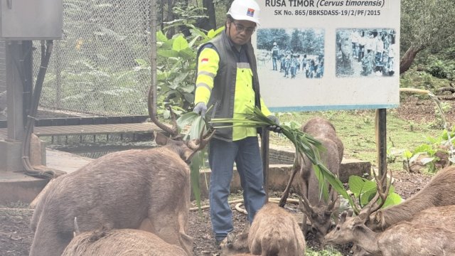 Dari Persemaian, PT Vale Menumbuhkan Masa Depan Kawasan Pertambangan