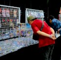Weekend di GIIAS Makassar 2026: Tak Hanya Pamer Mobil Baru, Ada Diecast hingga Musik Live