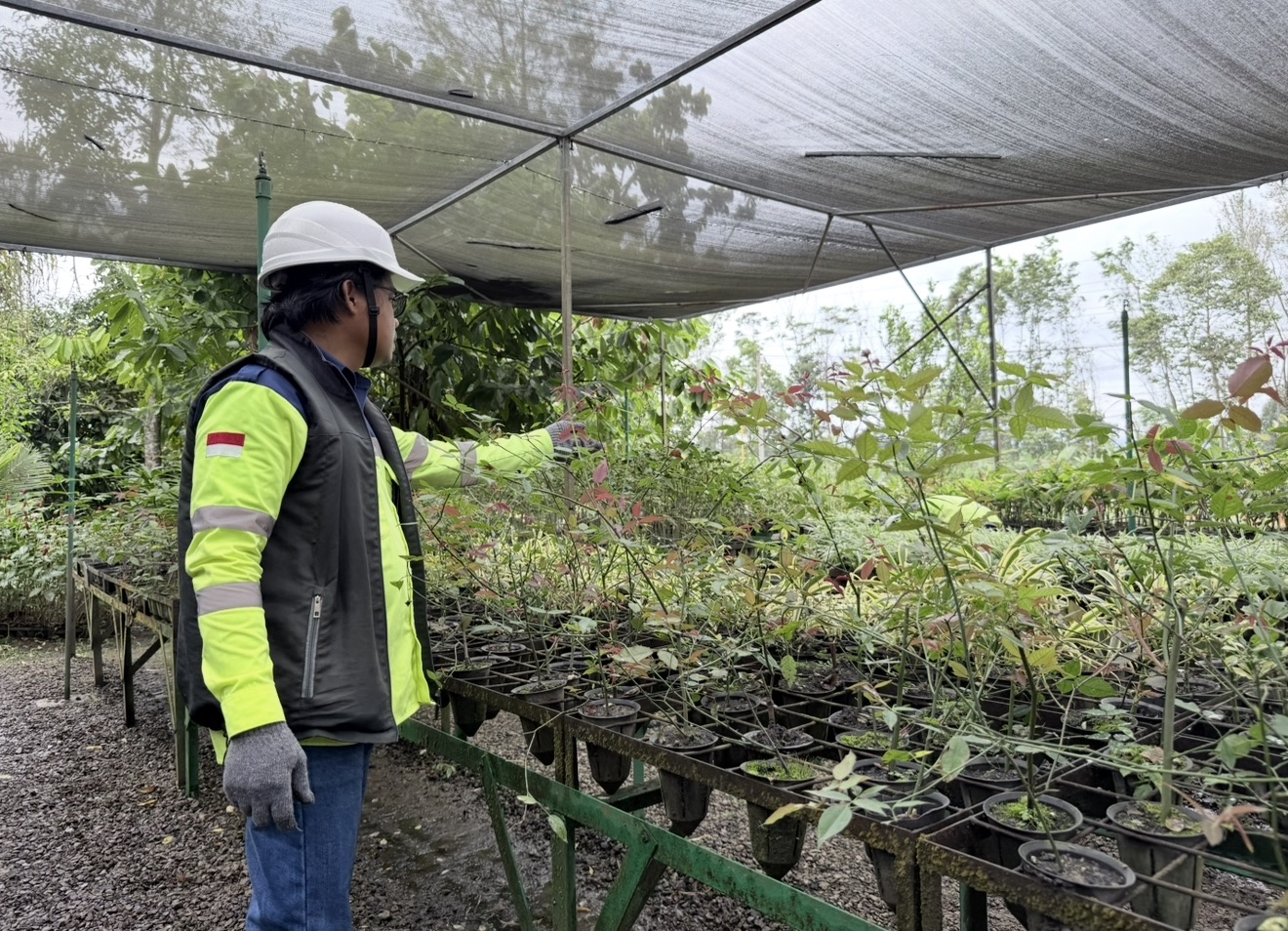  1: Awal Sebuah Kehidupan  Di Sorowako, keberlanjutan tidak dimulai ketika tambang berhenti beroperasi. Ia justru dimulai jauh sebelumnya, dari sebuah persemaian.  Di nursery PT Vale Indonesia, ribuan bibit tanaman dirawat setiap hari sebagai bagian dari komitmen reklamasi dan rehabilitasi lahan. Setiap bibit dipersiapkan untuk mengembalikan ruang hijau yang pernah dimanfaatkan dalam proses pertambangan.  Bagi PT Vale, menambang berarti mengambil sumber daya secara bertanggung jawab, sekaligus menyiapkan kehidupan baru yang akan tumbuh setelahnya.