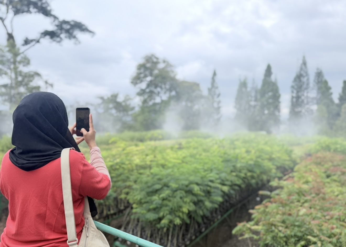 Menumbuhkan Harapan  Dari satu bibit, lahirlah harapan.  Hamparan tanaman di nursery PT Vale Indonesia bukan sekadar kumpulan pohon yang menunggu ditanam. Di baliknya terdapat proses panjang perencanaan reklamasi, pemilihan spesies lokal, hingga pemulihan ekosistem agar kawasan pascatambang kembali hidup.  Keberlanjutan bukan hanya tentang menjaga apa yang ada hari ini, tetapi memastikan generasi berikutnya tetap dapat menikmati lingkungan yang sehat dan lestari.